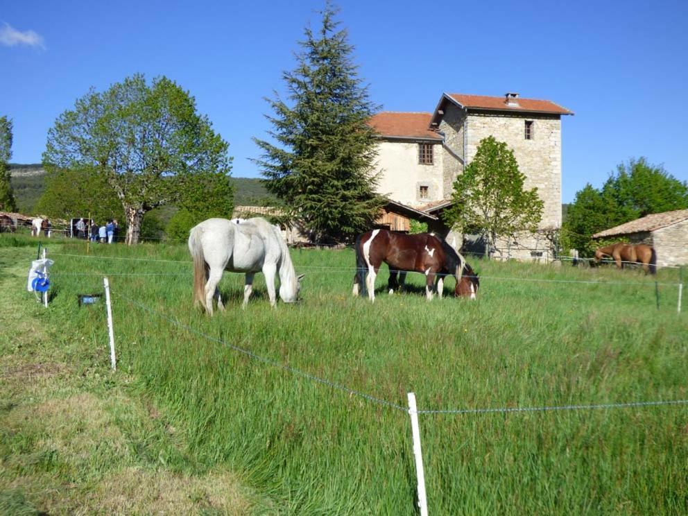 Le Relais Des Baronnies Hotel Montjay  Exterior photo