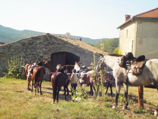 Le Relais Des Baronnies Hotel Montjay  Exterior photo